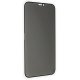 Захисне скло PRIVACY для APPLE IPHONE 12 mini 5,4