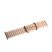 Chain Strap Band для Apple Watch 42/44/45/49 mm Beige and Milk