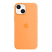 Silicone Case Original With MagSafe and Splash Screen Apple iPhone 13 Mini
