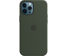 Чохол Silicone Case Copy In The Box Apple iPhone 12 Pro Max Pinery Green