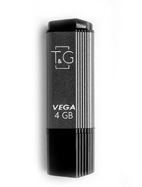 USB Flash Drive T&G TG121 Vega 4GB Стальной