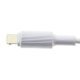 Мережевий зарядний пристрій WUW T31 2USB 2.4A + USB Lightning