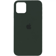 Чохол Silicone Case Copy In The Box Apple iPhone 12 Pro Max Cyprus Green
