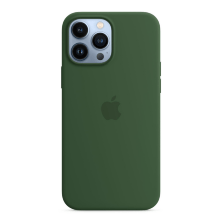 Silicone Case Original With MagSafe and Splash Screen Apple iPhone 13 Pro Max Clover