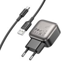 Мережевий зарядний пристрій BOROFONE BAS51A 2 USB 2.4A 12W + кабель USB - TYPE-C, чорний