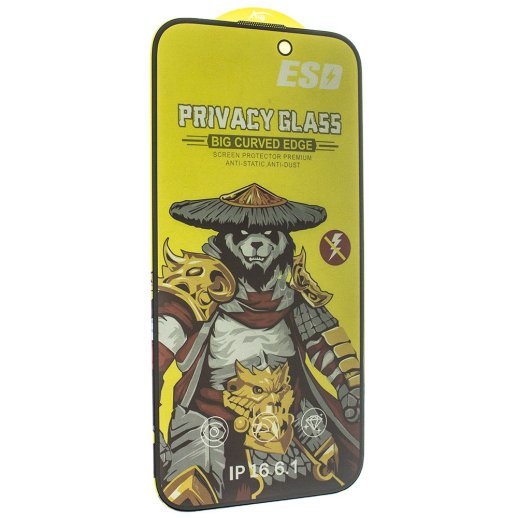 Захисне скло PRIVACY NEW ESD APPLE iPhone 16 6.1"