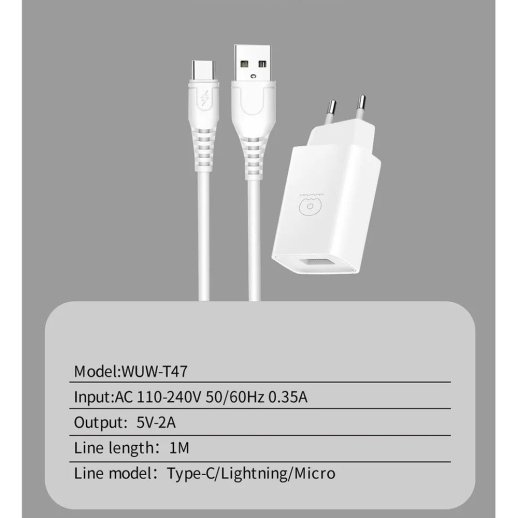 Мережевий зарядний пристрій WUW T47 2.4A + USB Type-C БІЛИЙ (70)