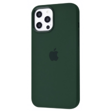 Silicone Case Original With MagSafe and Splash Screen Apple iPhone 12 Pro Max Cyprus Green