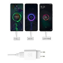 Мережевий зарядний пристрій WUW T56 2.4A + USB Micro-USB БІЛИЙ