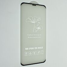 Захисне скло FLOWERS APPLE IPHONE XS MAX | 11 PRO MAX ЧЁРНЫЙ
