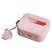 Чохол Fashion для AirPods Pro 2 Flowers Pink