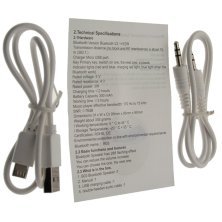 Колонка HOPESTAR P65 Pro 50W (черный)