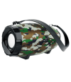 Колонки Borofone BR14 Camouflage Green