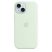 Silicone Case Original With MagSafe and Splash Apple iPhone 15  Light Charge Color